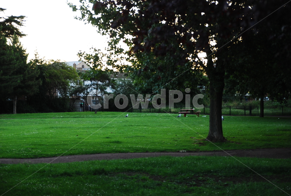 grass,park,공원,plant,잔디,옥외,outdoors,lawn,자연,풍경,nature,landscape,식물