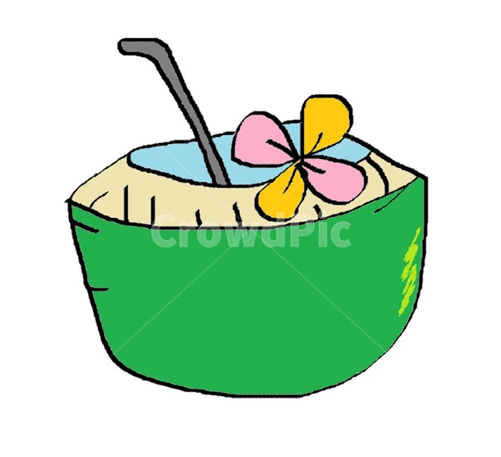 코코넛일러스트,야자수,열대과일,음료수,코코넛,음료수,drink,beverage,그래픽,일러스트레이션,graphic,illustration