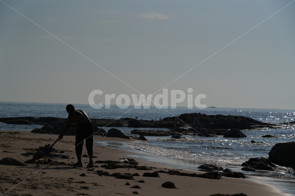 바다,바닷가,해변,바위,파도,경치,풍경,자연,물,sea,여름