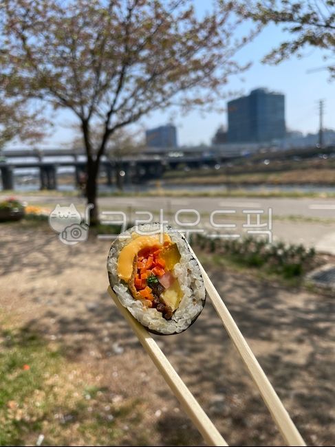 김밥,나들이,food,분식,한강,산책,가을,kimbab