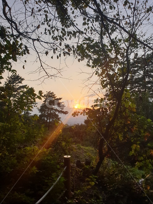햇빛,빛,자연,노을,light,sunlight,옥외,nature
