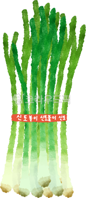 일러스트, 손그림, 파, 실파, 쪽파, 사진,이미지,일러스트,캘리그라피 - heeizo작가