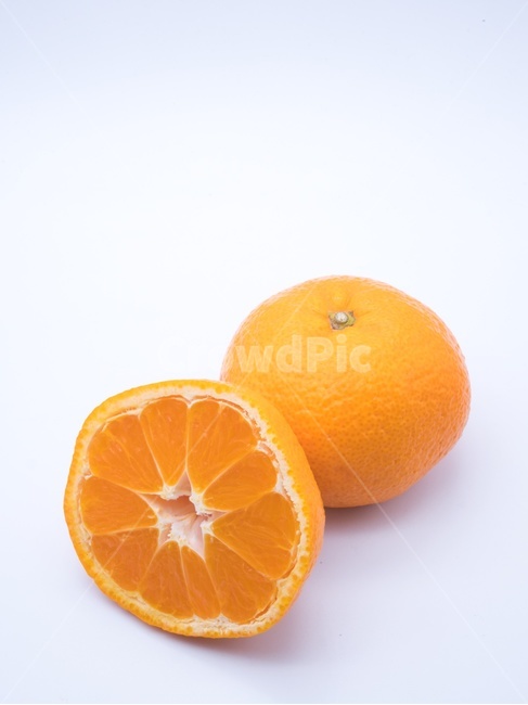 food,음식,citrusfruit,감귤류과일,fruit,orange,주황색,plant,식물,귤,오렌지,과일,겨울,열매,과일,열매,fruit