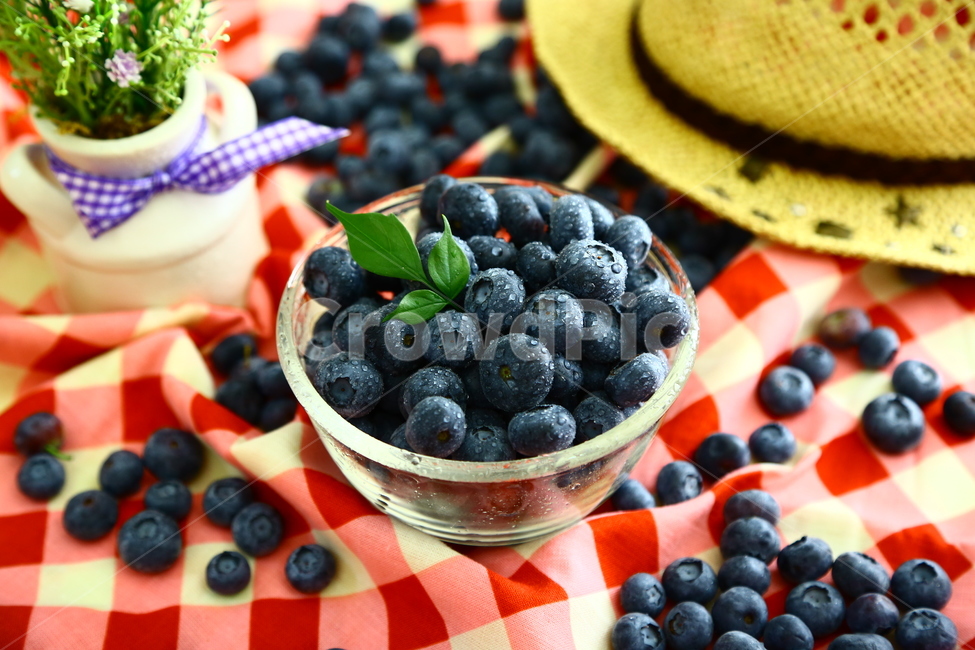 블루베리,베리,과일,blueberry,berry,fruit,food,sweet,fresh,음식,식재료,요리,food,cook,meal,dishes,food reserves,과일,열매,fruit