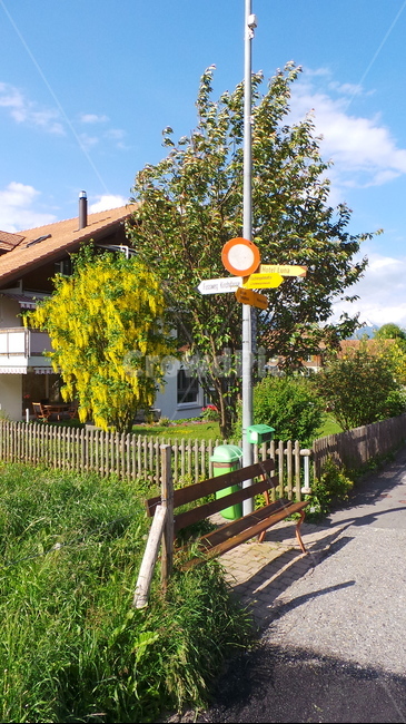 street,village,road,nature,place,house,sign,길,길거리,산책로,마을,동네,집,자연,tree,나무