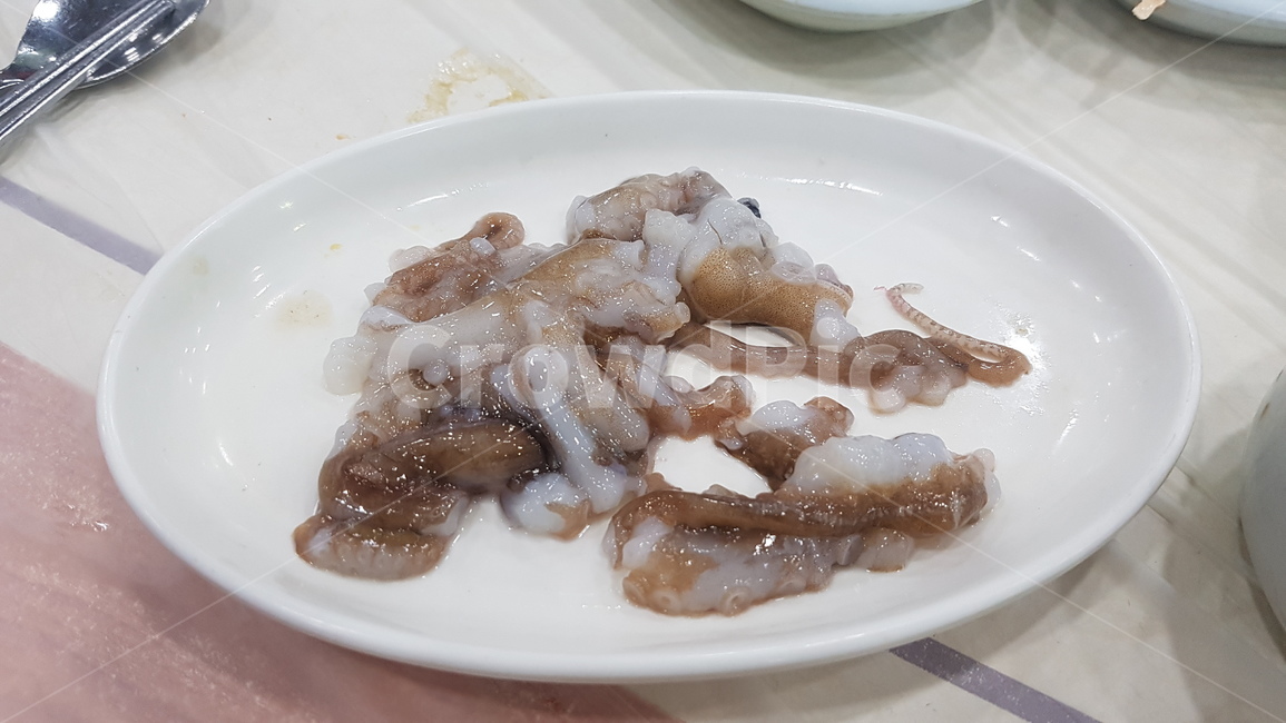 낙지,산낙지,참기름,술안주,소주,음식,횟집,안주,낙지탕탕이,탕탕이,꼬들꼬들,음식,식재료,요리,food,cook,meal,dishes,food reserves