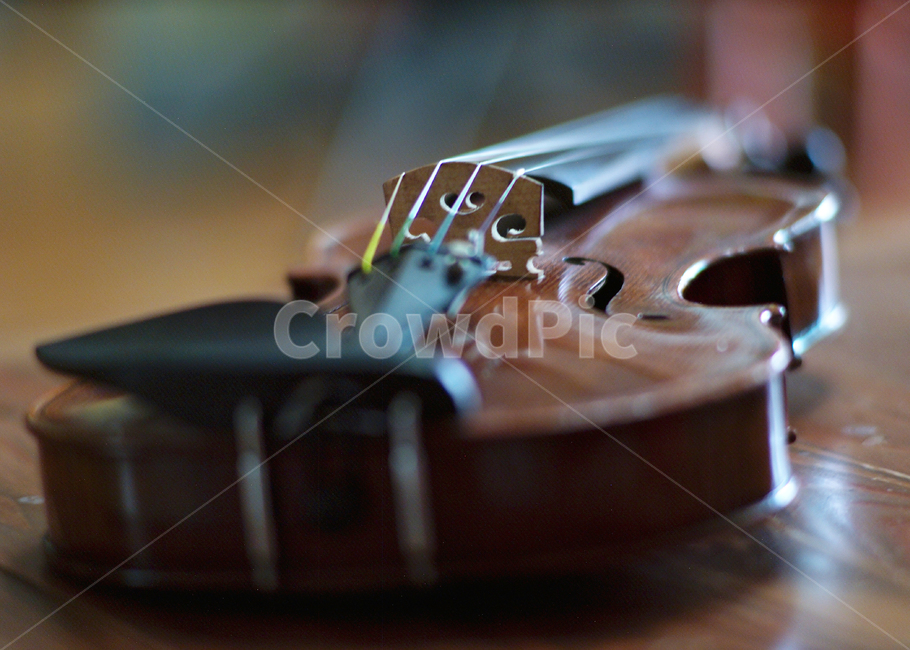 현악기,바이올린,접사,연주,오케스트라,악기,음향기기,musical instrument,musical equipment