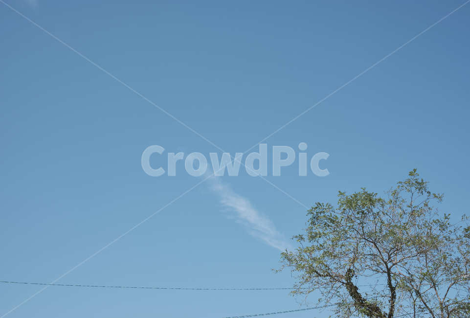 하늘,나무,구름,sky,tree,cloud,자연,풍경,nature,landscape