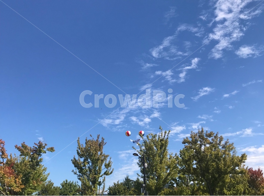 글배경,하늘,나무,풍경,구름,자연,풍경,nature,landscape,balloon,풍선,ball,공