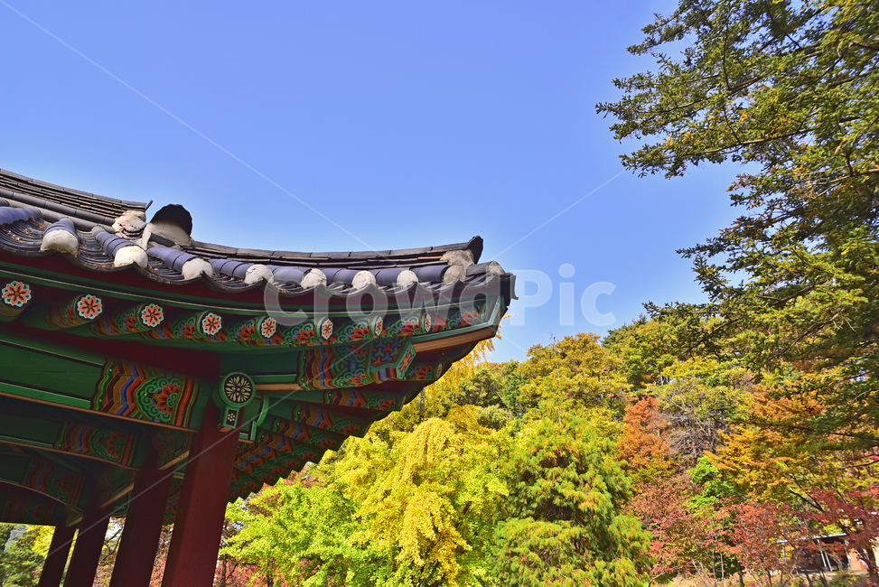 남한산성,유네스코,세계문화유산,문화유산,역사,전통건축물,건축물,건물,기와집,전통문화,가을배경,가을단풍,한국전통,한국자연경관,가을분위기,시즌,계절,아웃도어,옥외,야외,배경,바탕,백그라운드,풍경,한국풍경,지수당,정자,단청,처마,기와지붕,한국전통,한국문화,korean traditional,korean culture