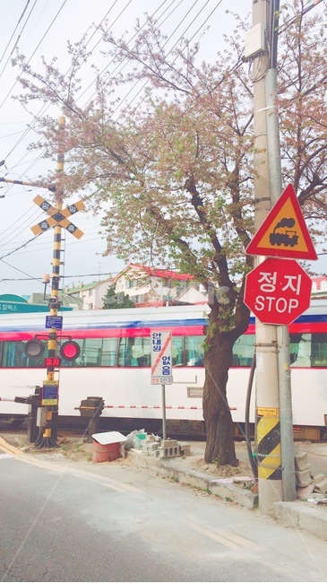 기차,기찻길,감성,풍경,옛날풍경,교통,교통수단,traffic,transportation