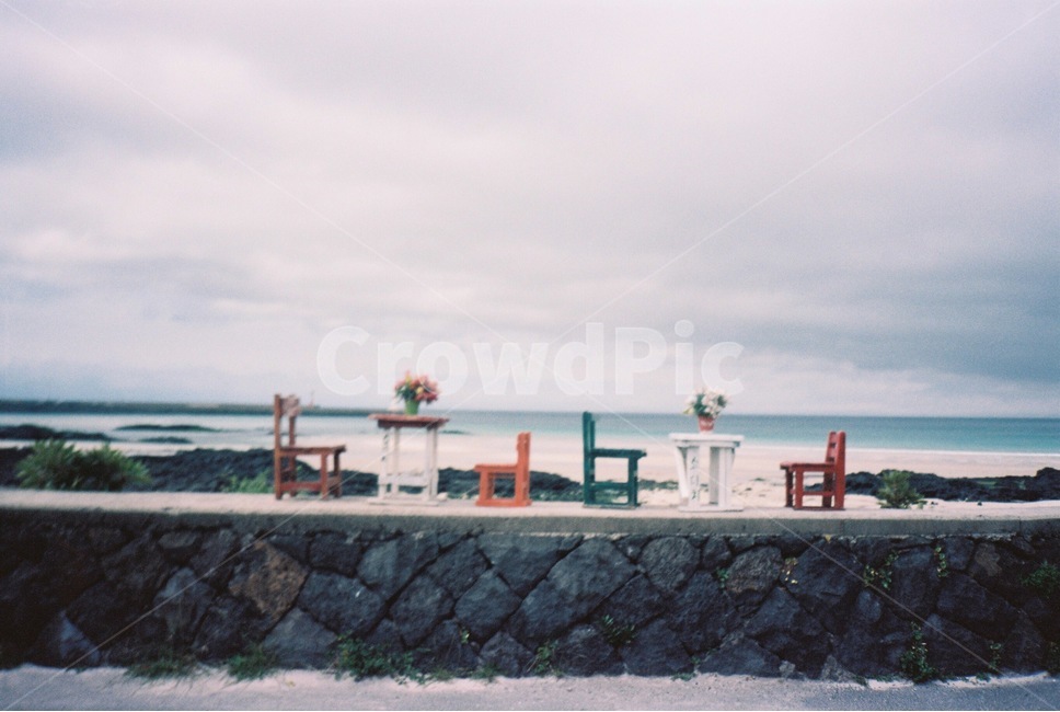 필름사진,제주도,제주도바다,제주도돌담길,제주도돌담,제주도,jeju,jeju island