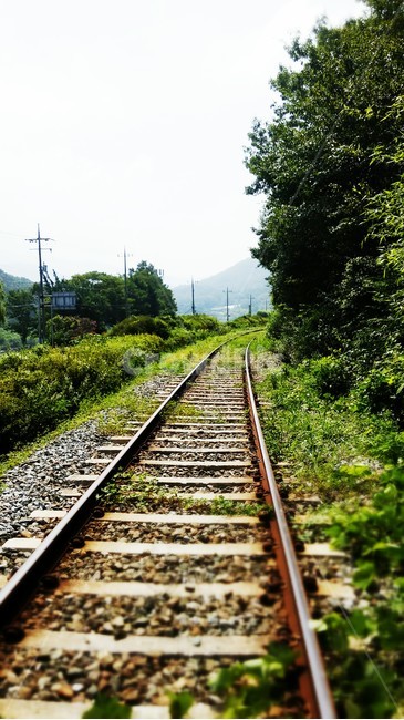 기찻길,철도,레일,레일바이크,rail,기차,railroad,교통,교통수단,traffic,transportation
