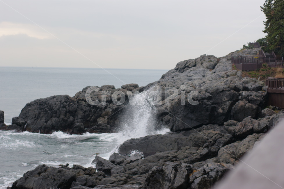 해안,바다,파도,sea,wave,한국바다,폭포,rock,해안선,자연,풍경,nature,landscape,promontory,곶,록,outdoors,옥외