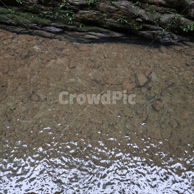 ground,바닥,물,개울,하천,자연,깨끗함,순수