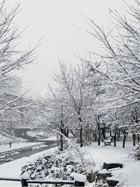 눈,폭설,눈보라,겨울,자연,겨울,계절,winter,season