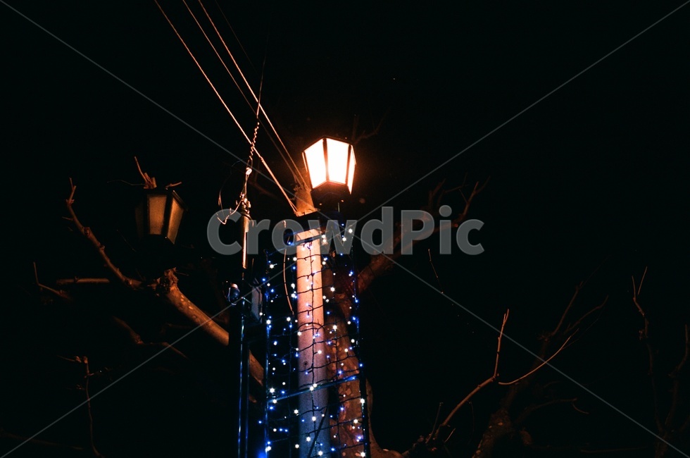 가로등,밤,불빛,streetlight,night,필름,필름사진,filmphoto,야경,밤,풍경,nightscape,night,landscape,lamp post,램프 포스트