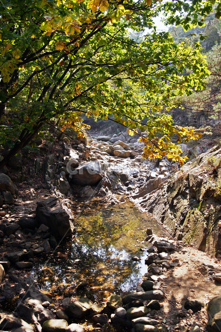 계곡,삼막사계곡,삼성산,가을,계절,기암괴석,자연,자연,풍경,nature,landscape