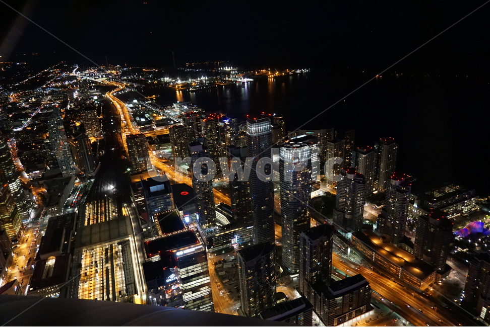 캐나다,도시,토론토,토론토타워,타워,야경,밤,풍경,nightscape,night,landscape,도시,city,해외,외국,세계,foreign,oversea,world,세계도시풍경,해외도시풍경,외국도시풍경,world cityscape,nature,자연,outdoors,옥외,경치,scenery,aerial view,조감도