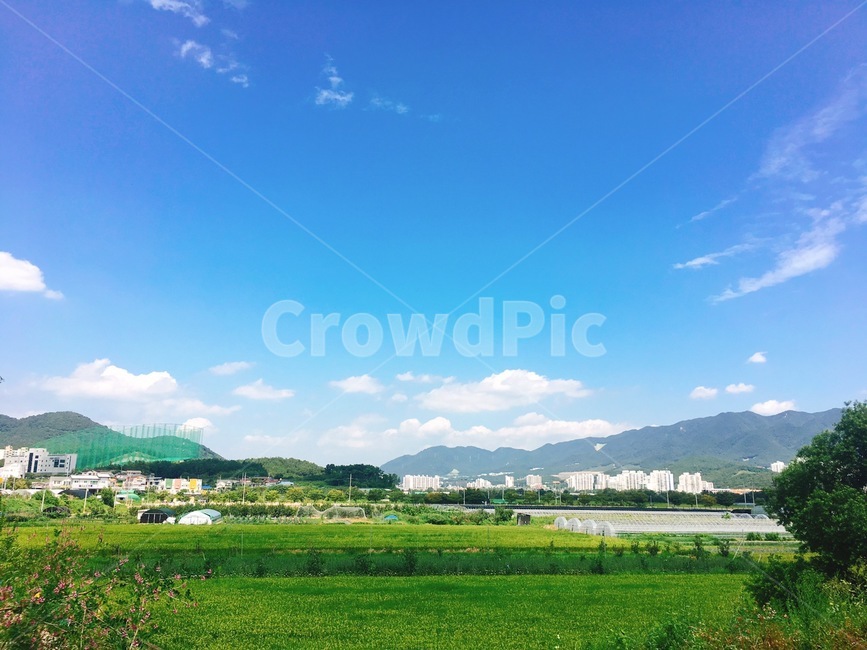 자연,nature,들,field,옥외,grassland
