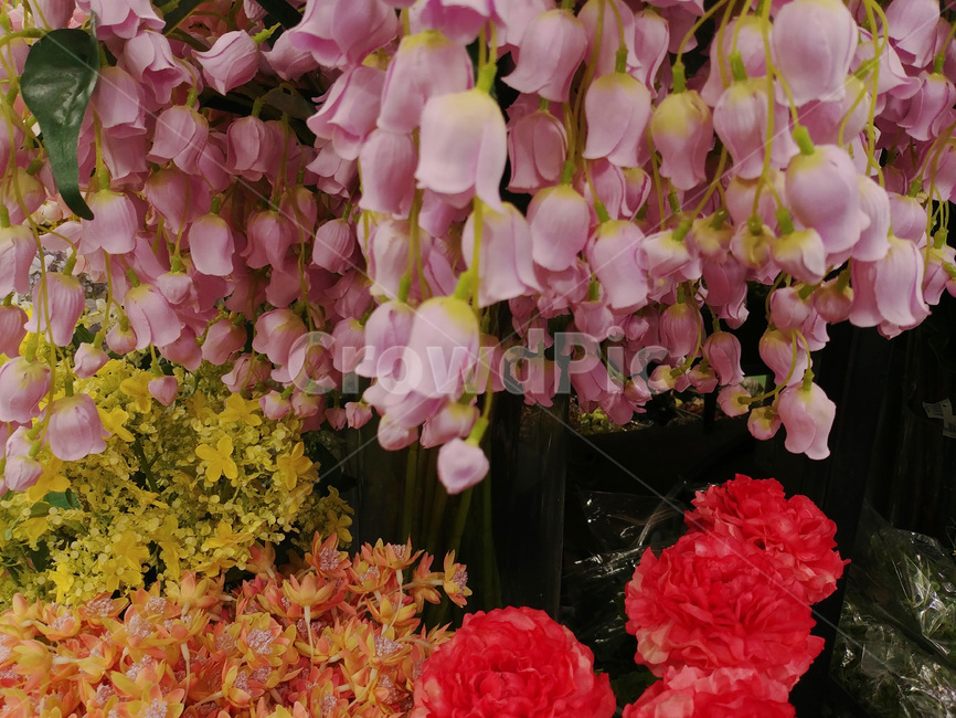 꽃,꽃다발,디스플레이,플라워,배경,바탕,백그라운드,장식,데코레이션,꽃잎,flowers,칼라,color,식물,축하,조화,배경화면