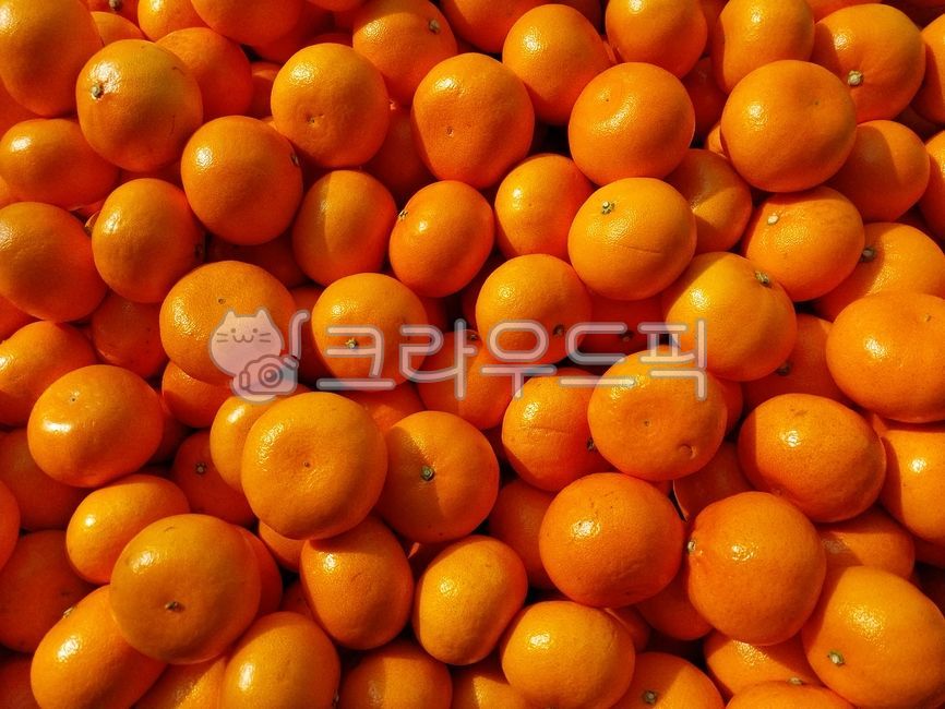 천혜향,과일,fruit,cheonhyehyang,citrus,light,shadow,빛,그림자