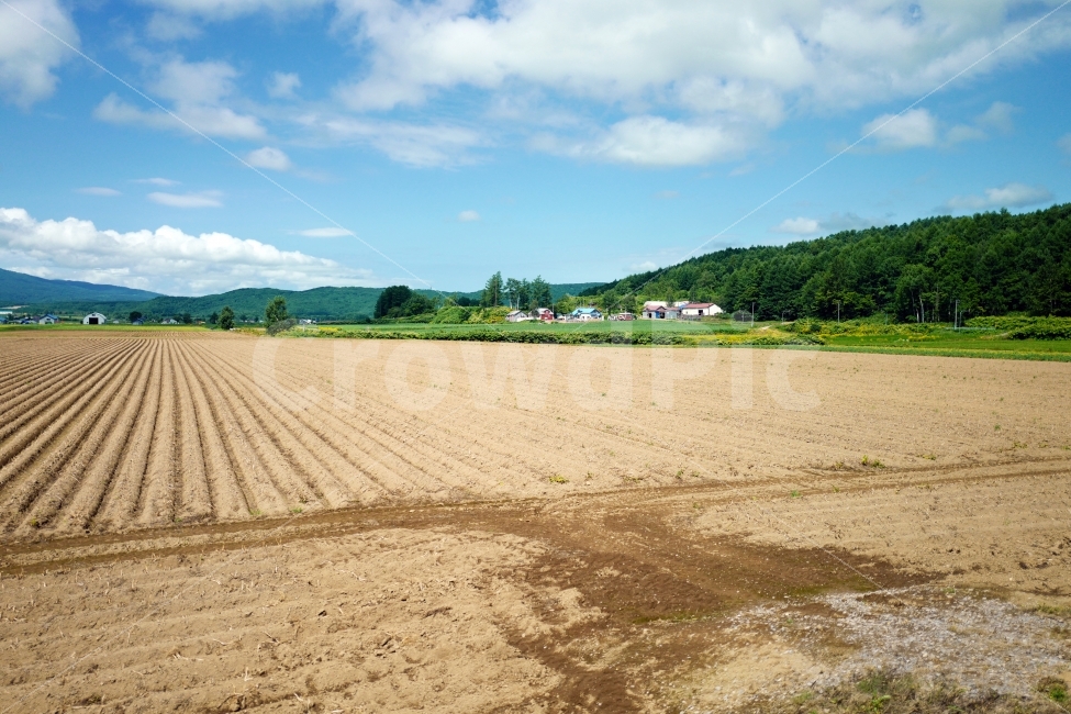 밭,밭농사,시골,농촌,시골풍경,농촌풍경,자연,풍경,nature,landscape,시골,마을,country,rural,town,land,땅,outdoors,옥외,ground,바닥,soil,흙