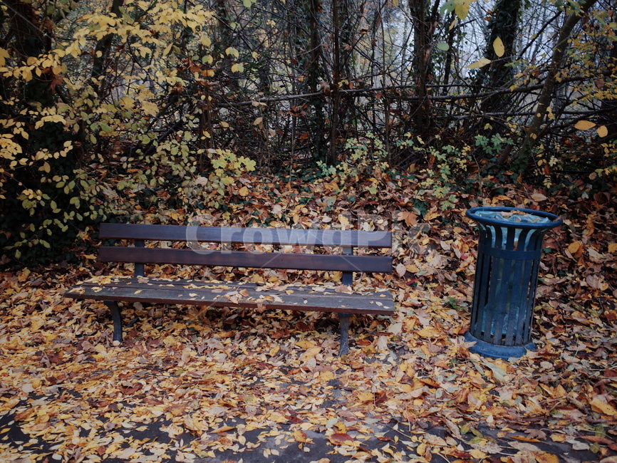 가을,쓰레기통,낙옆,공원벤치,bench,벤치,가을,계절,fall,autumn,season