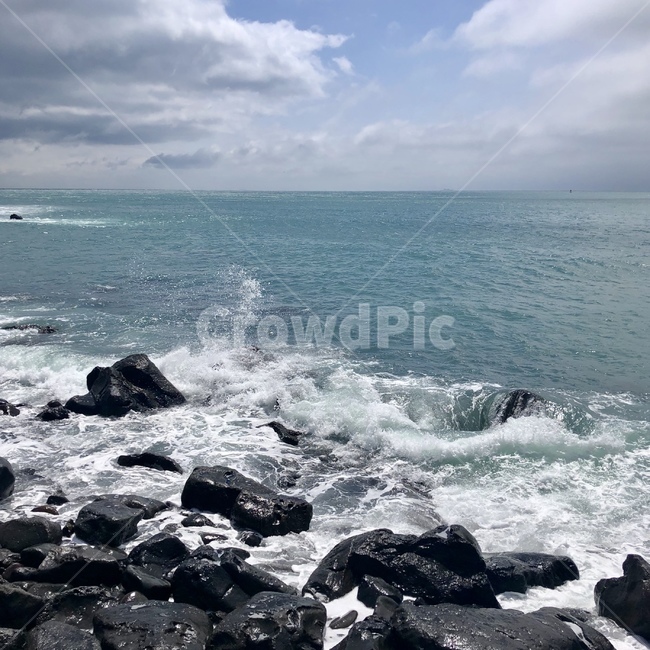 제주도,제주,파도,바다,자연