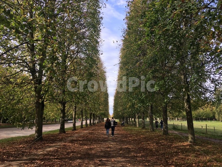 여행,가로수길,감성,배경,풍경,연인,자연,풍경,nature,landscape,연인,커플,사랑,lover,couple,tree,나무,plant,식물,outdoors,옥외