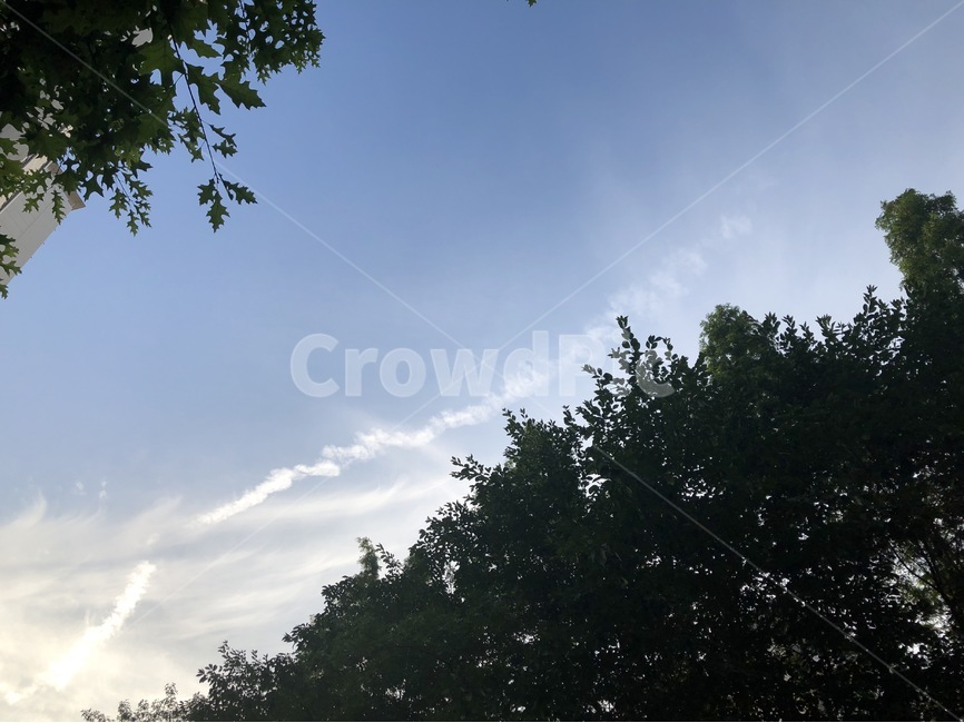 하늘,구름,나무,자연,sky,cloud,tree,nature,skyblue,sora,kumo,ki,sorairo,자연,풍경,nature,landscape