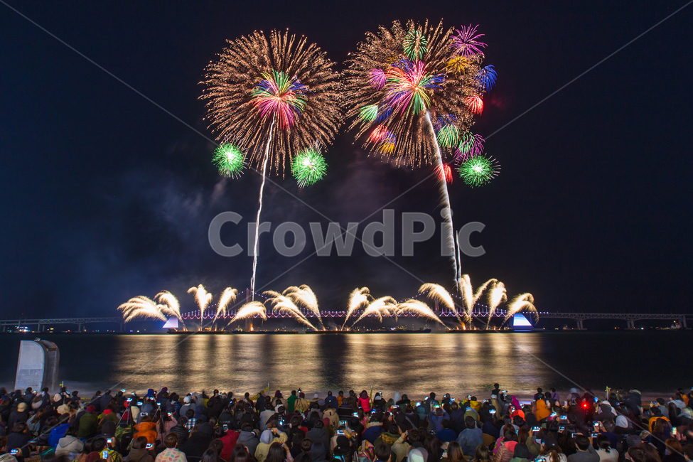 night view,romance,Gwangalli,night sea,flashing lights,nightview,fireworks,crowds,scenery,sea,landscape background,Busan,memories,Busan Fireworks Festival,fireworks festival,event,festival,night,busan background,seashore,background,beach
