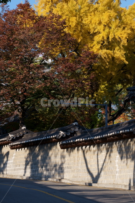 가을,궁궐,낙엽,기와,전통,단풍,koreatraditional,koreapalace,autumn,koreaautumn,autumnleaves,nature,colorful