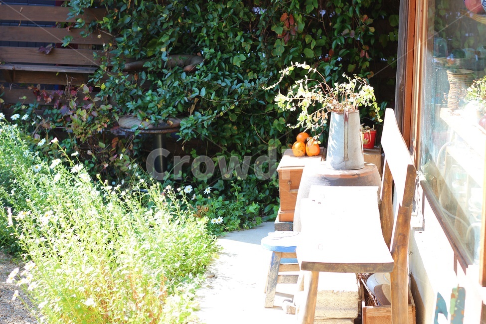 정원,식물,풀,garden,의자,나무,녹색,햇살