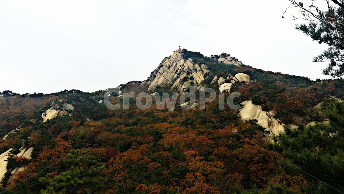 가을,산,배경,풍경,낙엽,가을,계절,fall,autumn,season,자연,풍경,nature,landscape,outdoors,옥외