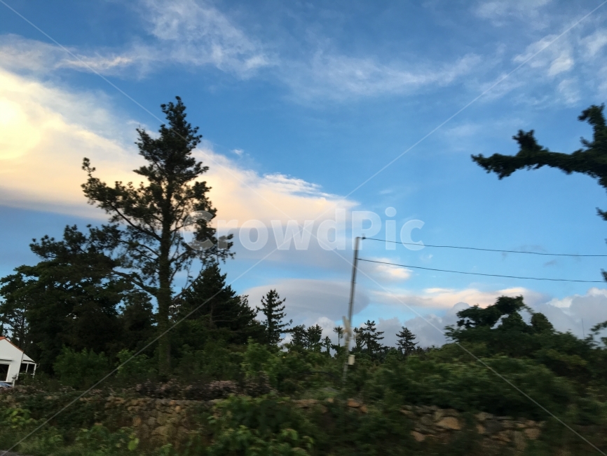 파란하늘,하늘,구름,나무,자연,자연,풍경,nature,landscape,tree,plant,식물