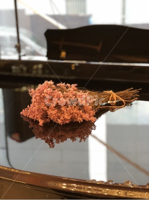 드라이플라워,꽃다발,다발,피아노,드라이,플라워,꽃,조화,감성,카페,분홍,감성사진,분홍색,꽃,flower