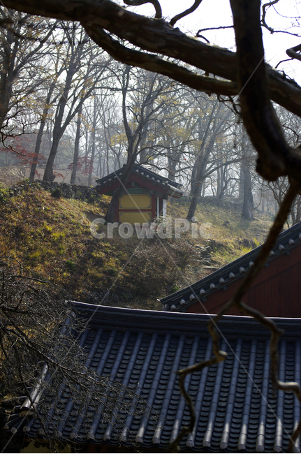기와지붕,전통건축,나무,겨울,풍경,한국전통,한국문화,korean traditional,korean culture,건축물,건물외관,exterior,building,structure,architecture,construction