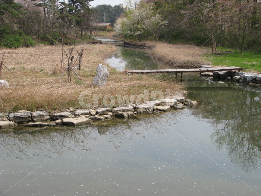 경포대,벚꽃,연못,강릉,대한민국,한국,gyeongpodae,cherryblossoms,pond,gangneung,republicofkorea,southkorea,자연,풍경,nature,landscape,water,물,outdoors,옥외