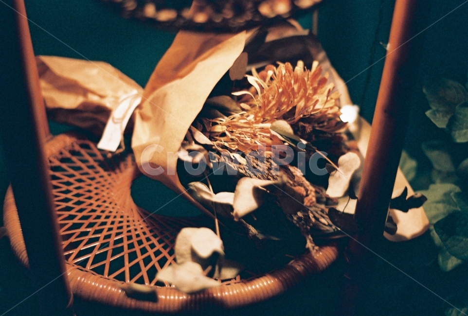 인테리어,종이꽃,꽃,겨울,감성사진,필름사진,꽃,flower,기념일,축하,anniversary,congratulation,celebrate,celebration,감성,sensible,feeling,인테리어,실내디자인,interior design
