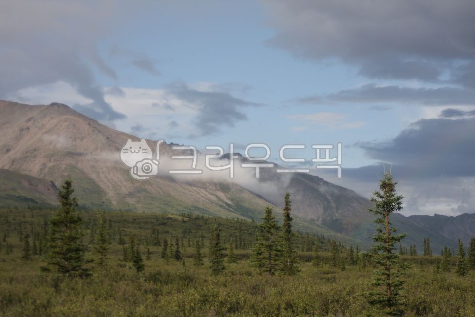 cloud,tundra,mountain,Denali National Park,nature,trekking,alaska,sight,Alaska,denalinationalpark