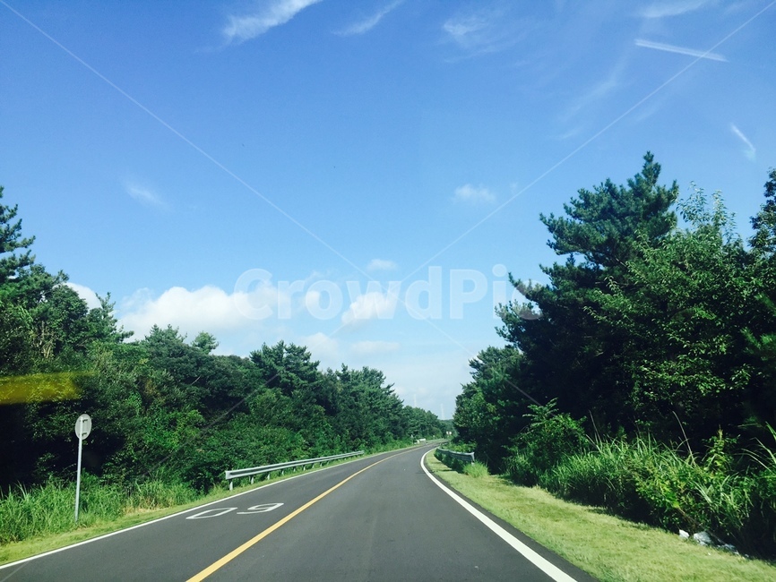 road,도로,제주도,풍경,배경,하늘,자연,풍경,nature,landscape
