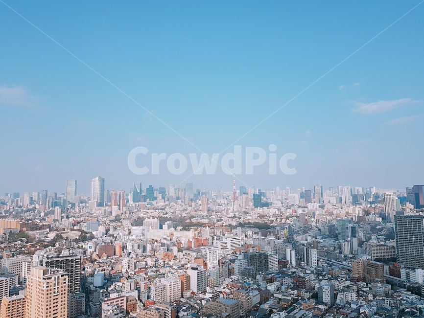 outdoors,옥외,어반,조감도,urban,aerialview,도시,city,건물,건물숲,도시,풍경,city,landscape,경치,nature,자연,scenery