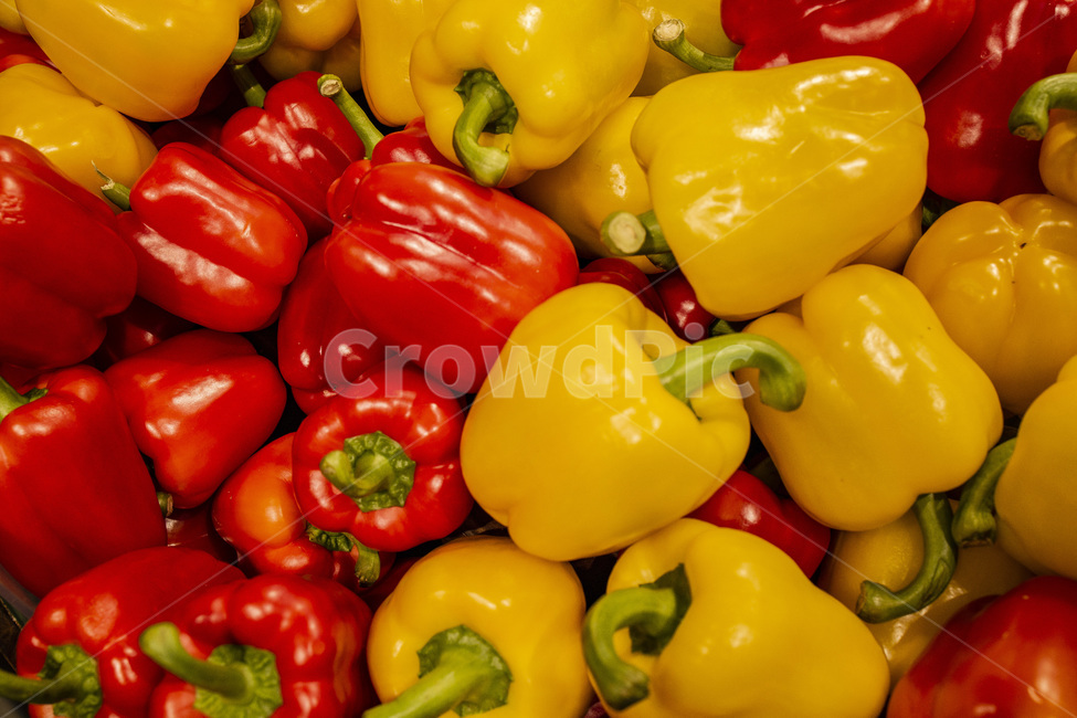 capsicum,closeup,color,cooking,food,fresh,healthy,ingredient,market,nutrition,organic,paprika,pepper,vegetable,vegetarian,yellow,파프리카,피망,채소,건강,채식,노랑,빨강,음식,식재료,요리,food,cook,meal,dishes,food reserves,채소,야채,vegetables