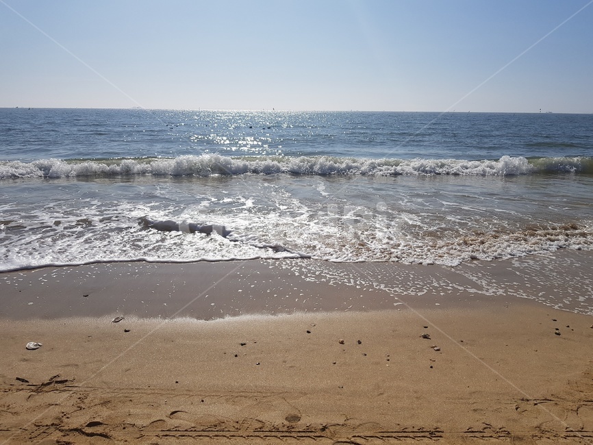 바다,자연,물,nature,파도,해변,바다,beach,sea