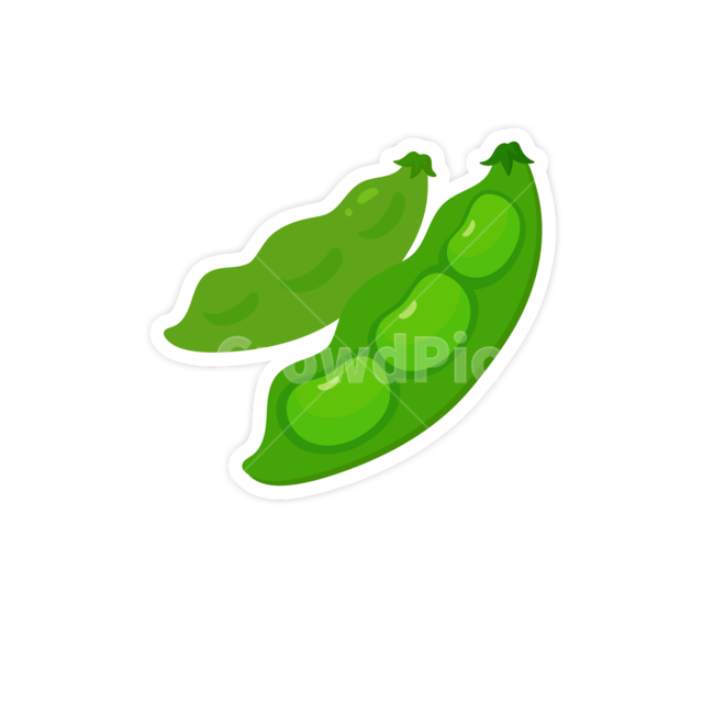 콩,음식,밥,완두콩,야채,채소,음식,식재료,요리,food,cook,meal,dishes,food reserves,그래픽,일러스트레이션,graphic,illustration
