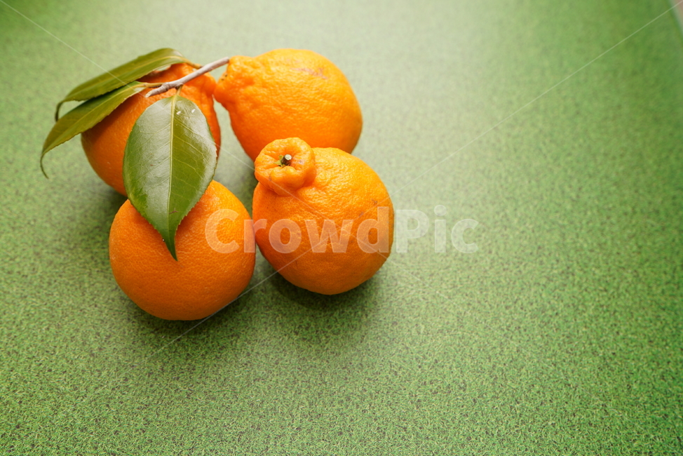 한라봉,주황색,후식,food,컬러,orange,fruit,과일,감귤류과일,음식,식재료,요리,food,cook,meal,dishes,food reserves,과일,열매,fruit