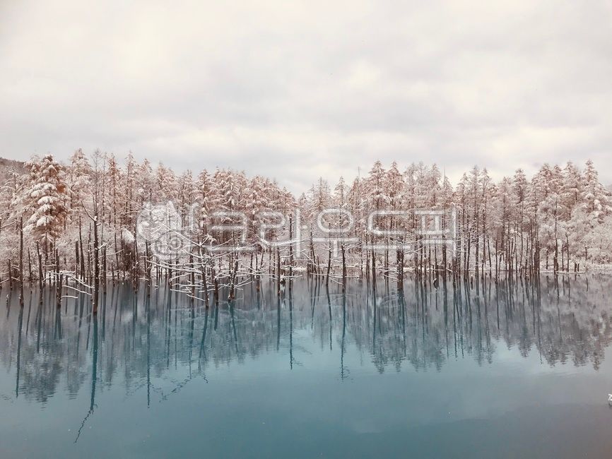 청의호수,호수,연못,아오이이케,青い池,비에이,북해도,훗카이도