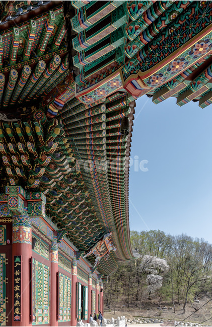 선,단청,무늬,패턴,문양,불교미술,한국전통,한국문화,korean traditional,korean culture,건축물,건물외관,exterior,building,structure,architecture,construction