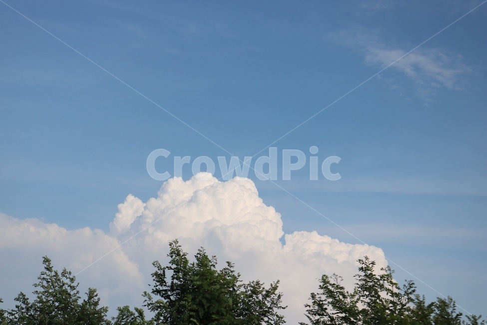 하늘,자연,구름,파랑,나무,식물,흰색,초록,여름,sky,sora,nature,cloud,kumo,blue,ao,tree,ki,plants,shokubutsu,white,shiro,green,midori,summer,natsu,자연,풍경,nature,landscape,outdoors,옥외,weather,날씨,cumulus,적운